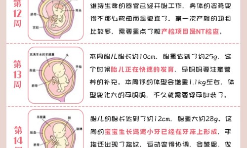 吃苦瓜有什么营养、苦瓜吃对身体有什么好处 -夏季多吃苦瓜有什么功效网